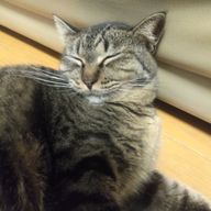 なななさんのアイコン画像