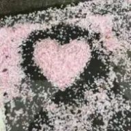 美帆さんのアイコン画像