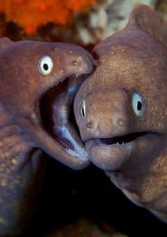 ひとりごと