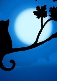 叶わぬ恋をしてしまった