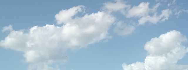 も る て ん 。さんの壁紙画像