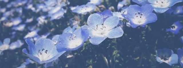 レイさんの壁紙画像