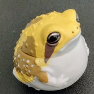 みち/低浮上さんのアイコン画像