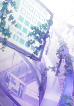 あの、ここ何処ですか？？