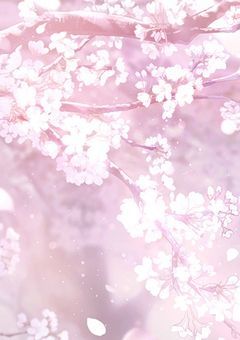 新しく始まった私たちの日々