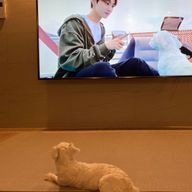 ねぎとろどんさんのアイコン画像