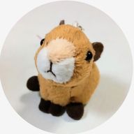 かぴばらさん＠活動再開‼️さんのアイコン画像