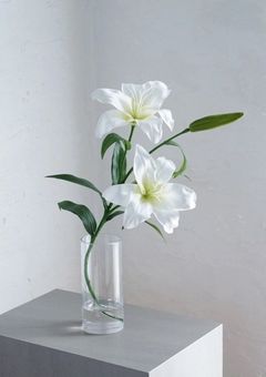 あの花が咲く丘で、君とまた出会えることが出来たなら。