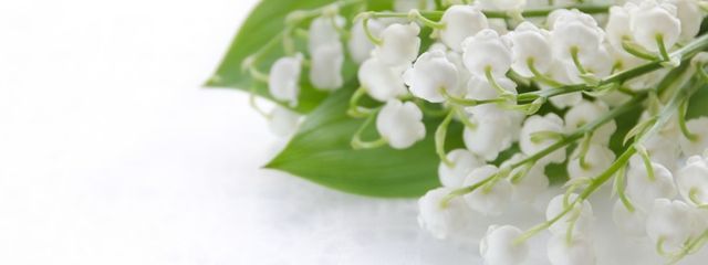 すずらんさんの壁紙画像