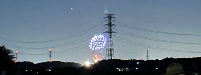 まーりーさんの壁紙画像