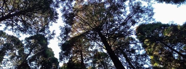 レアラビ✯ フォロバ100%(遅延数ヶ月)さんの壁紙画像