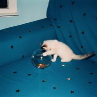 min.さんのアイコン画像