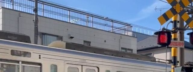 ︎ ︎ ︎ ︎ ︎ ︎ ︎ /︎ ︎ ︎ ︎ ︎🌾︎ ︎︎さんの壁紙画像