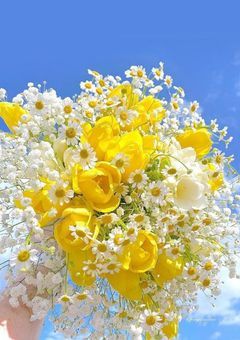 SEVENTEENの奥さん