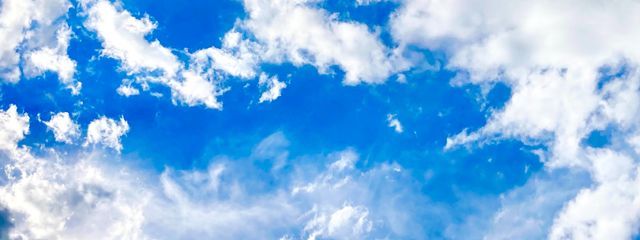 あんぱんさんの壁紙画像