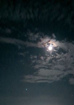 転生林檎"風"物語　　（曲パロ）