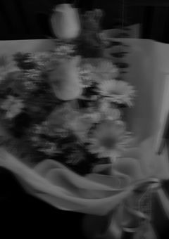 花言葉でしか触れられない