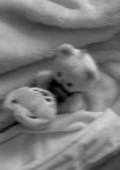 ひだまりみたいな恋