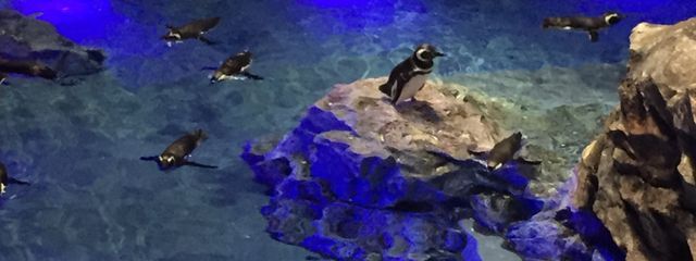 雫さんの壁紙画像