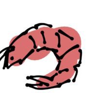 カラフルビビットさんのアイコン画像