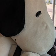 ころちき@参加型募集中さんのアイコン画像