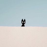 りぅ/ﾌｫﾛﾊﾞ100さんのアイコン画像