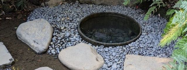 緑さんの壁紙画像