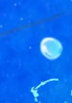 引退をかけたコメチャレ