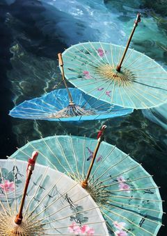 舞い落ちる花びら