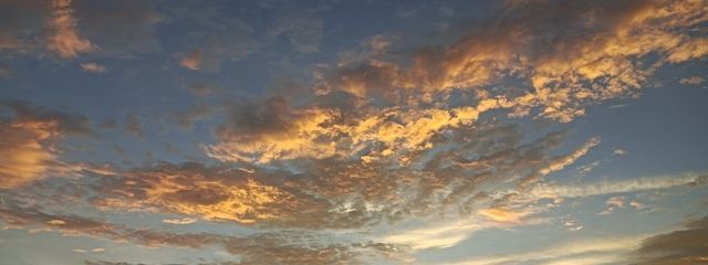 大神さくらさんの壁紙画像