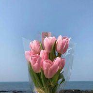ちゃーるさんのアイコン画像
