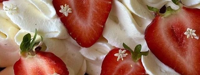 　杳さんの壁紙画像