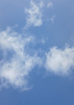 文ストの世界にはもう一つの最恐グループのコンビがいるらしい。