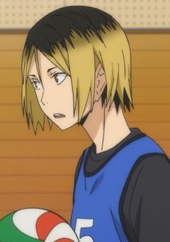 猫は振り向いてくれない