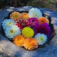 ナオさんのアイコン画像