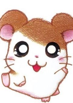 とっとこはしるよハム太郎〜