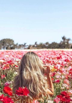 Flower　Talk　🌺🌹🌷