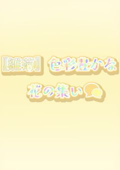 〚雛菊〛色彩豊かな花の集い