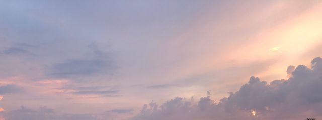 逢瀬 雛舂 @てーふなてふてふ(?)さんの壁紙画像