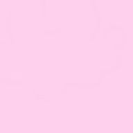 ねこさんのアイコン画像