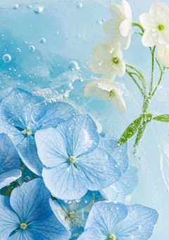 heroes / とあるヒーローの成長記録