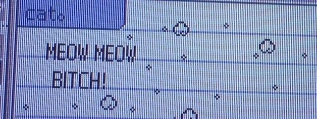 り ױ ױさんの壁紙画像