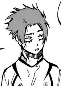 落ちていた推しのぬいぐるみが人間だった件【️糸師兄弟ver.】