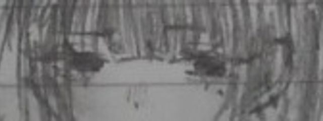 Soa.さんの壁紙画像