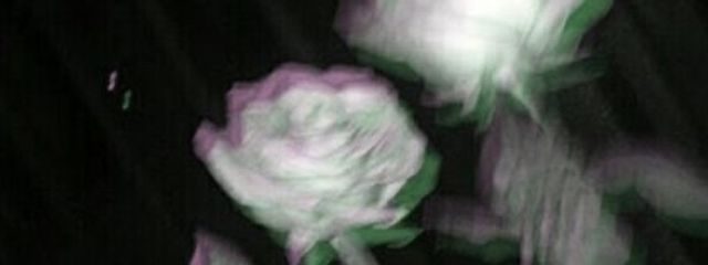 ．応答はナシさんの壁紙画像