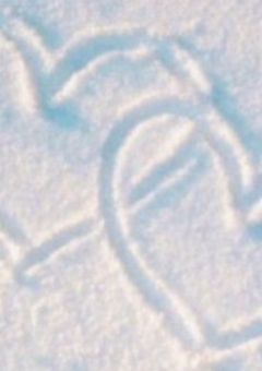 溺 愛 さ れ る っ て こ う い う こ と ．