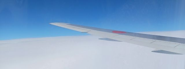喋るサバ缶と沈黙バナナさんの壁紙画像