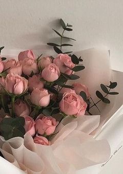 𝓡𝓪𝓫𝓫𝓲𝓽 ＆ 𝓒𝓱𝓲𝓬𝓴 物語 ,