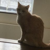 準備中さんのアイコン画像