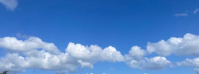 わゐう.さんの壁紙画像